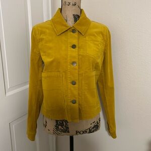 Never worn CAbi Citizen Jacket